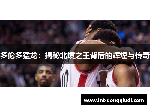 多伦多猛龙：揭秘北境之王背后的辉煌与传奇