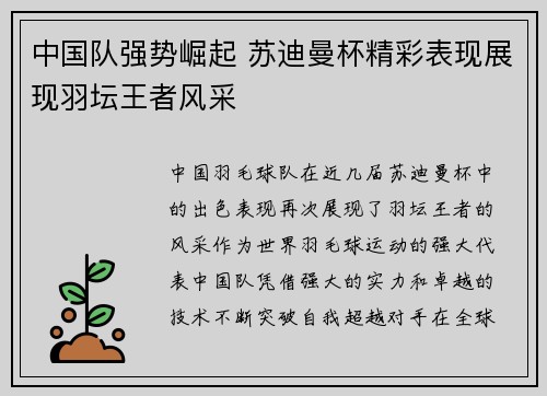 中国队强势崛起 苏迪曼杯精彩表现展现羽坛王者风采